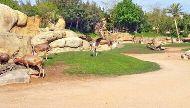 La commune de Casablanca à la recherche d'un opérateur pour la gestion du parc zoologique de Aïn Sebaâ