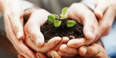 Assurance agricole. Vers une hausse des superficies couvertes pour la campagne 2023-2024