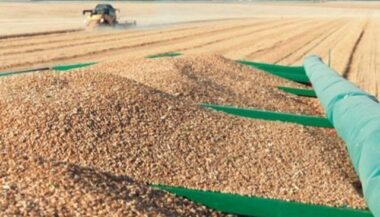 Le Maroc rétablit les droits d'importation des blés tendre et dur