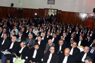 Nouvelle loi sur la profession d'avocat : A qui incombe le retard ?