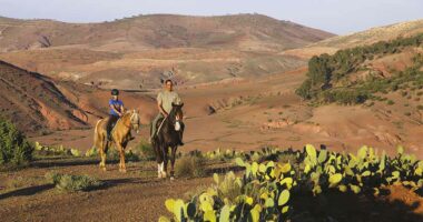 Al Haouz : une étude pour la valorisation des produits agricoles impactés par le séisme
