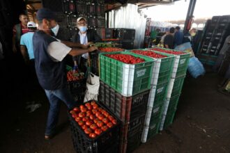 Attaques contre les produits agricoles marocains en Europe: les explications de la Comader et de l'ONSSA