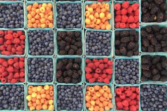 Export de petits fruits rouges : hausse du frais, recul du surgelé (campagne 2020-21)