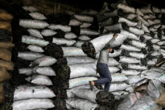 Aïd Al Adha: gare aux risques d'intoxication due au charbon!