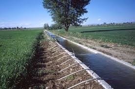 Campagne agricole : le PIB résiste à la baisse de la production céréalière