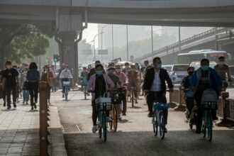 Un premier décès de la grippe aviaire H3N8 enregistré en Chine