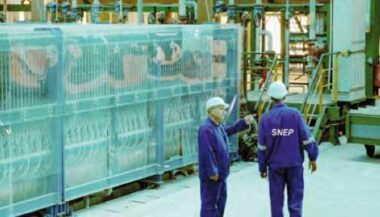 SNEP. Profit warning
