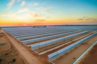 Le chinois Silk Road Fund acquiert 49% d’Acwa Power RenewCo