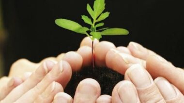 Etude. 24% des marocains se déclarent prêts à souscrire à une assurance Takaful