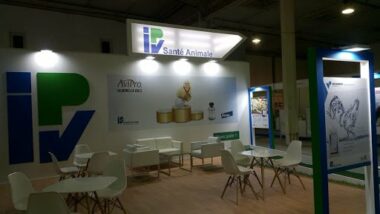 Accompagné par Red Med Finance, IPV Santé Animale ouvre son capital au Groupe Best Financière