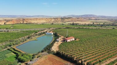 D’ici dix ans, la nappe phréatique de Berrechid risque d'être épuisée