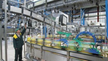 Lesieur Cristal: Le résultat net en chute de 30% au premier semestre 2020