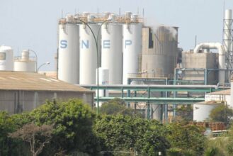 SNEP : le chiffre d'affaires recule de 11,3% à fin mars
