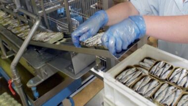 Unimer : Baisse de 24% du chiffre d’affaires consolidé au premier trimestre