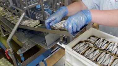 Unimer : hausse de 17% du chiffre d'affaires au premier trimestre 2022