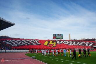 Focus: les résultats financiers du WAC 2018-2019