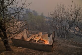 L’Algérie sollicite l’aide des États-Unis contre les feux de forêt