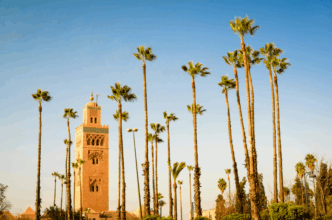 Les opportunités de la transition verte à Marrakech-Safi