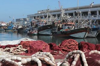 Clôture de la campagne de pêche du poulpe, plus de 11.160 t débarquées à Dakhla
