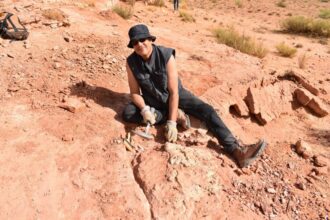 Les dinosaures du Maroc : quand l’Atlasaurus raconte l’histoire de la vie sur Terre