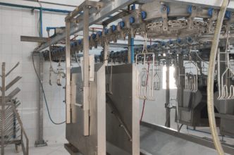 Un nouvel abattoir de viandes rouges à Taourirt