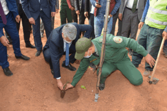Souss-Massa : lancement de chantiers inscrits dans le Plan forestier régional