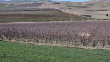 Saison agricole: un déficit pluviométrique de 54% par rapport à la moyenne des 40 dernières années