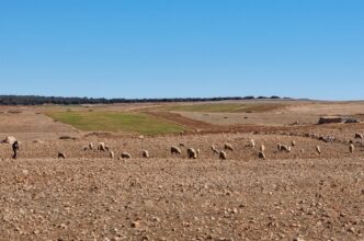 Chômage: 75.000 emplois nets créés au cours des 3 premiers trimestres 2024, les indicateurs continuent de se dégrader à la campagne