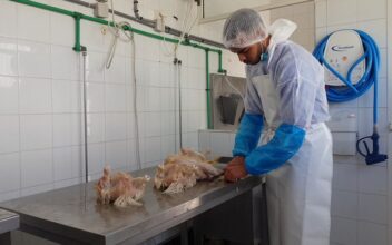 2 milliards de DH pour développer la filière de l'aviculture à l’horizon 2030