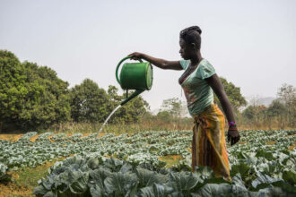 Afrique : les agricultrices face à des discriminations de genre