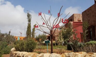 Accompagnement des jeunes : à la découverte du Mahir Center et de l'Act School