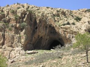 L’Oriental préhistorique : fresque foisonnante de l’évolution de l’Homme sur terre (1/2)