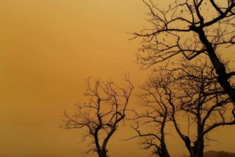France : nouveau nuage de sable en provenance du Sahara