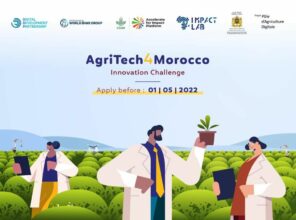 Voici les 10 startups sélectionnées dans l'AgriTech4Morocco Innovation Challenge