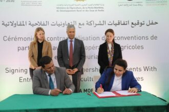 Melkisation : 15 projets agricoles subventionnés dans les périmètres du Gharb et du Haouz