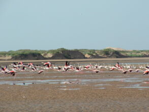 Tourisme vert : les grands axes de développement du parc national de Souss-Massa pour 1,57 MMDH