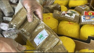 Grosse saisie de drogues par la DGSN entre août et octobre 2023