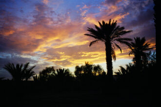 Drâa-Tafilalet. Dunes, palmiers et randonnées équestres