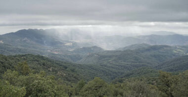Parc national de Tazekka. Dans le domaine forestier du cerf de l’Atlas
