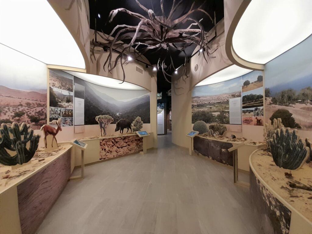 Visite guidée du nouveau musée de l’Arganier à Taghazout Bay