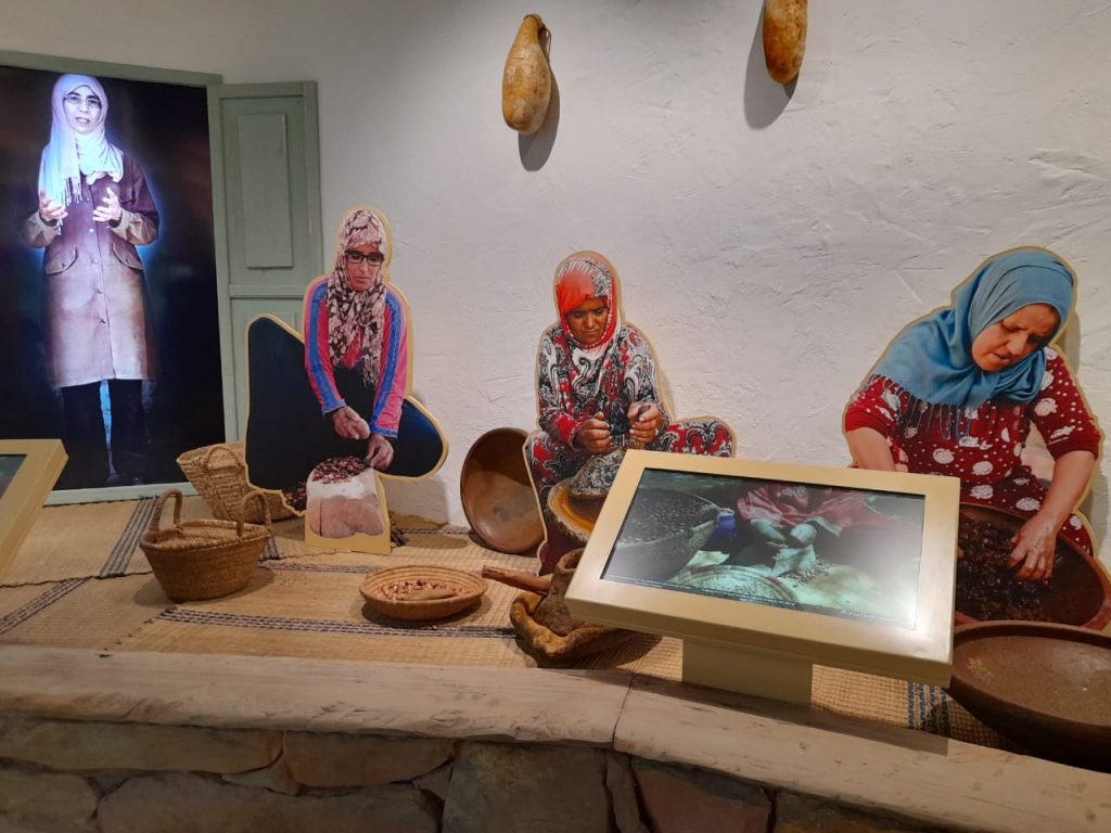 Visite guidée du nouveau musée de l’Arganier à Taghazout Bay