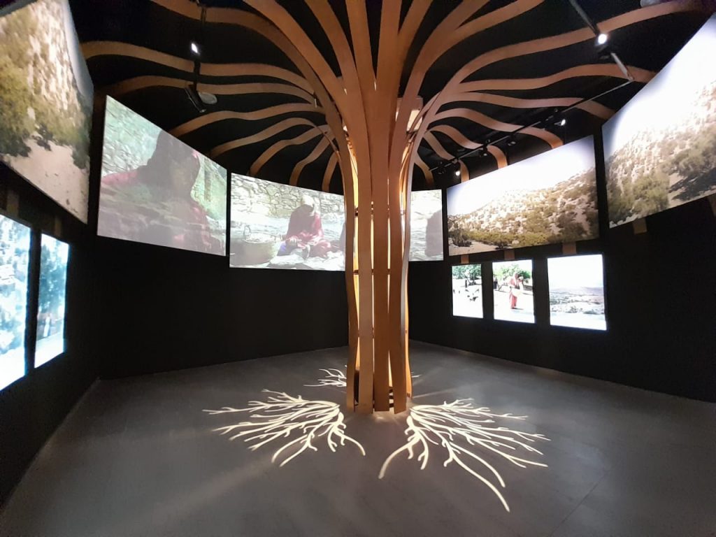 Visite guidée du nouveau musée de l’Arganier à Taghazout Bay