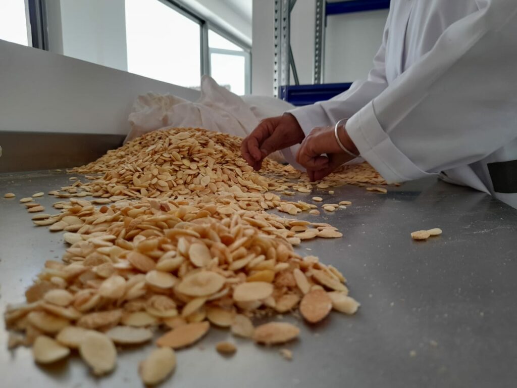 Art’gan Days : célébration d’un arbre aux multiples vertus