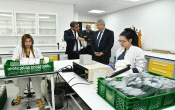 Recherche agricole : l'ICARDA lance sa nouvelle banque de gènes à Rabat