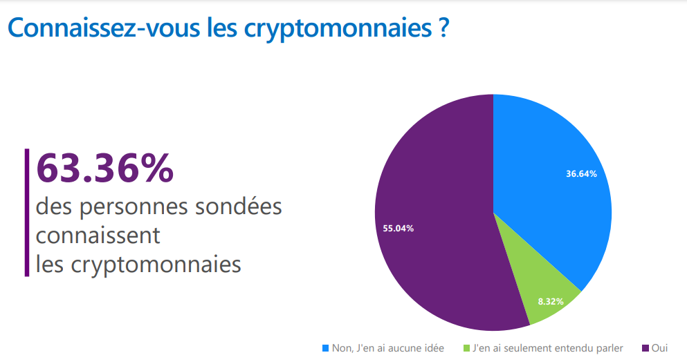 Où en est l’investissement dans les cryptomonnaies au Maroc ?