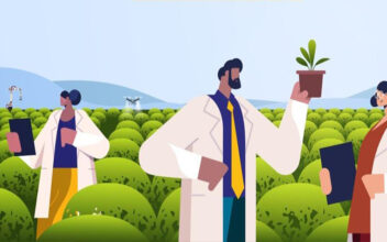 Asma Agro Invest adopte les solutions de la startup Sowit