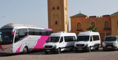 Transport touristique : test PCR, hausses du crédit et du gasoil vont reporter la reprise à 2023