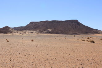 Une nouvelle espèce de dinosaure identifiée à Kem Kem