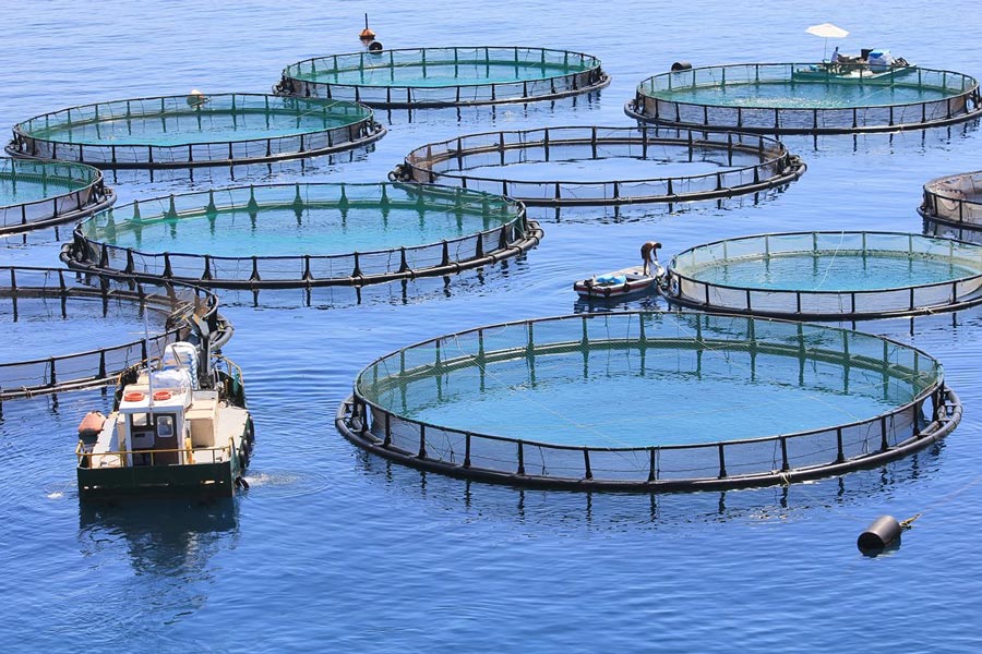 L'ANDA évalue l'aptitude des terrains littoraux de deux régions à accueillir des projets d'aquaculture