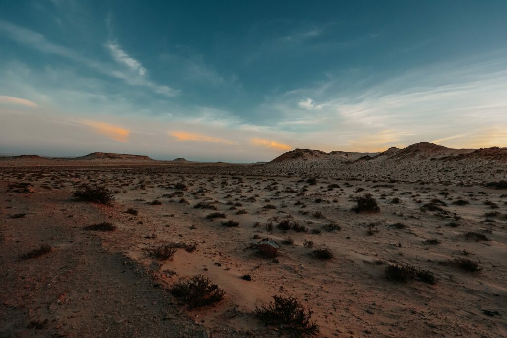 Dakhla accueillera la 1re édition de 'Oasis : Into The Wild'